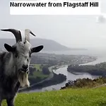 Quarvue Farmhouse, Unique House With Views Of Mournes And Cooleys Сasa de vacaciones