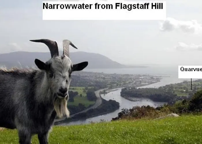 Quarvue Farmhouse, Unique House With Views Of Mournes And Cooleys Casa vacanze